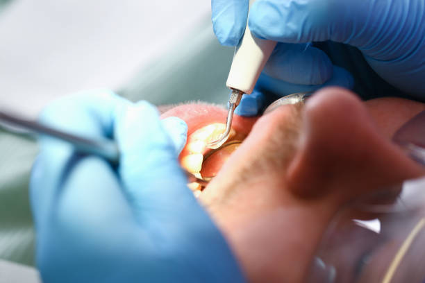 Best Weekend Emergency Dental Services in South Rockwood, MI
