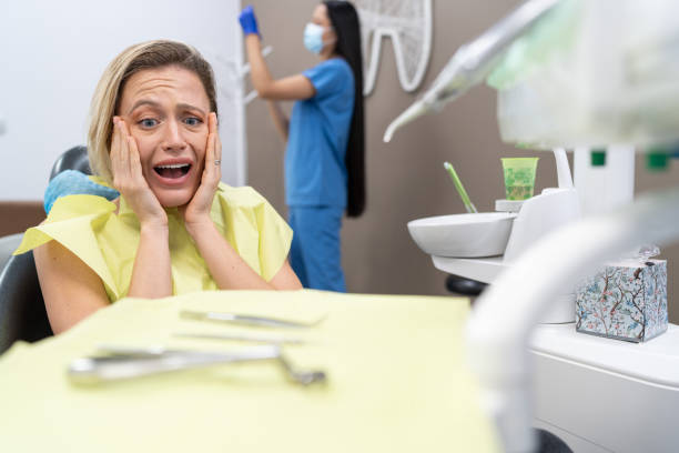 Best Walk-In Emergency Dental Services in South Rockwood, MI